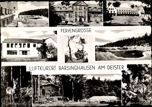 Ak Barsinghausen Deister, Wilhelm Stedter Schule, Rehkitz, Freilichtbühne
