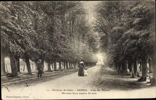 Ak Ardres Pas de Calais, Allee des Tilleuls