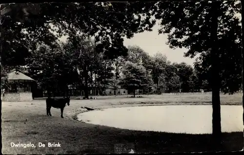 Ak Dwingeloo Drenthe Niederlande, De Brink