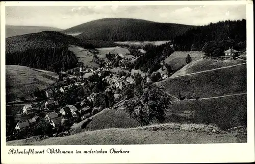Ak Wildemann Clausthal Zellerfeld im Oberharz, Ort mit Umgebung