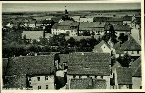 Ak Schildau Belgern Schildau, Panorama