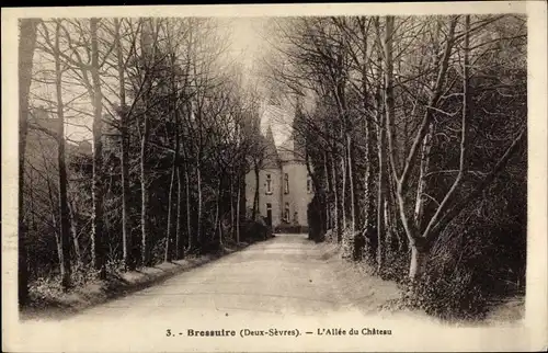Ak Bressuire Deux Sèvres, L´Allée du Château