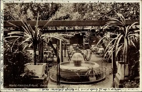 Ak Erfurt in Thüringen, Wald Kasino, Garten, Springbrunnen