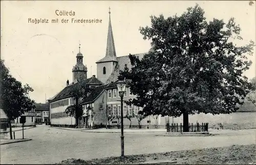 Ak Kölleda in Thüringen, Roßplatz, Friedenseiche