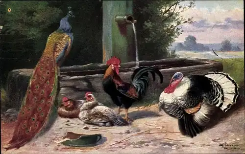 Künstler Ak Schönian, Alfred, Pfau, Hahn, Hühner, Truthahn, Bauernhofszene
