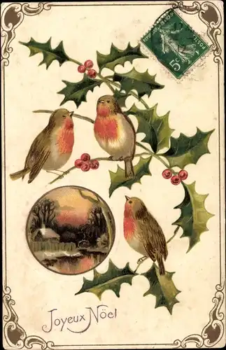 Präge Ak Glückwunsch Weihnachten, Vögel, Stechpalme
