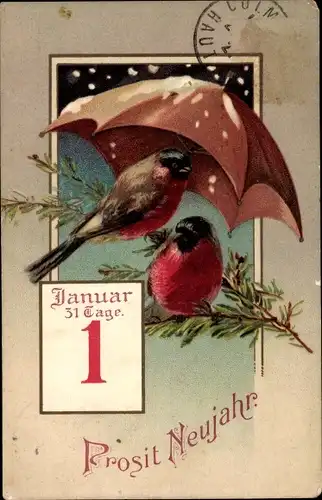 Ak Glückwunsch Neujahr, Zwei Vögel unter einem Regenschirm, Kalender
