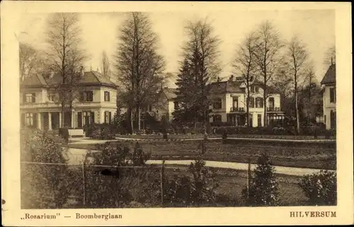 Ak Hilversum Nordholland Niederlande, Rosarium, Boomberglaan