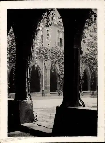 Ak Colmar Kolmar Elsass Haut Rhin, Le cloitre des Dominicains