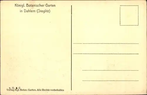 Ak Berlin Zehlendorf Dahlem, Schauhäuser u. italienischer Garten, Botanischer Garten