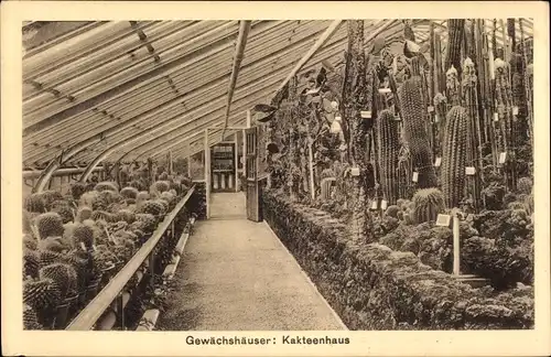 Ak Berlin Zehlendorf Dahlem, Kgl. Botanischer Garten, Kakteenhaus