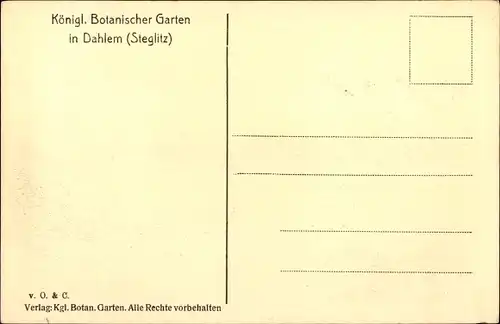 Ak Berlin Zehlendorf Dahlem, Kgl. Botanischer Garten, Kakteenhaus