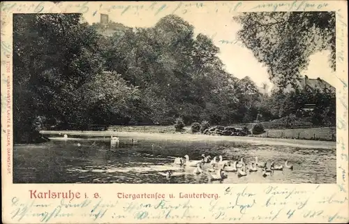 Ak Karlsruhe in Baden, Tiergartensee mit Enten und Lauterberg
