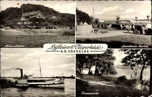 Ak Tesperhude Geesthacht an der Elbe, Strandhotel, Landhaus Garten, Dampfer, Promenade