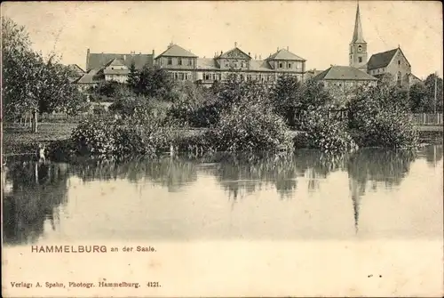 Ak Hammelburg in Unterfranken Bayern, Saalepartie, Häuser