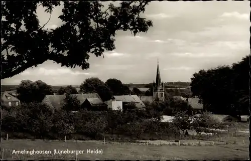 Ak Amelinghausen in der Lüneburger Heide, Panorama