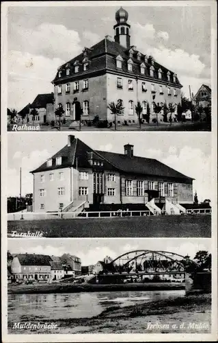 Ak Trebsen an der Mulde Sachsen, Rathaus, Turnhalle, Muldenbrücke