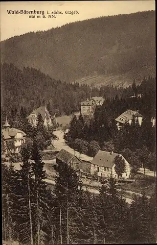 Ak Waldbärenburg Bärenburg Altenberg im Erzgebirge, Gesamtansicht
