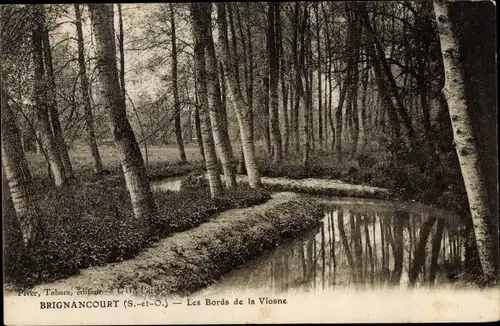 Ak Brignancourt Val d'Oise, Les Bords de la Viosne