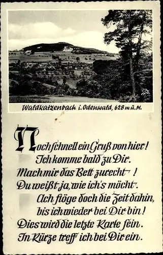 Ak Waldkatzenbach Waldbrunn Odenwald, Panorama, Gedicht