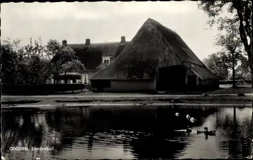 Ak Borger Odoorn Drenthe Niederlande, Eendenkuil