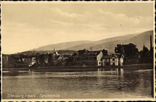 Ak Ilsenburg am Nordharz, Forellenteich