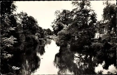 Ak Cry-sur-Armançon Yonne, L'Armancon ombrage