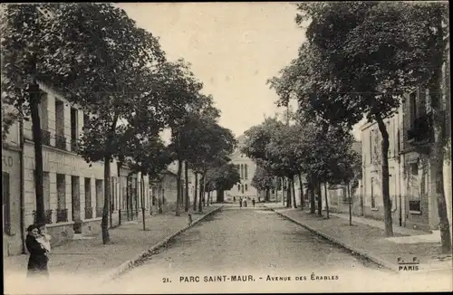 Ak Le Parc de Saint Maur Val de Marne, Avenue des Érables