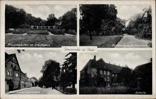 Ak Sömmerda in Thüringen, Rosengarten, Stadtpark, Schule, Schützenhaus