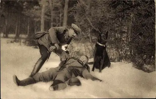 Ak Verletzter Deutscher Soldat, Sanitäter, Arbeitshund, Deutsches Rotes Kreuz