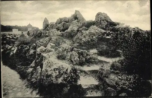Ak Berlin Zehlendorf Dahlem, Kgl. Botanischer Garten, Abschnitt aus der Alpenanlage