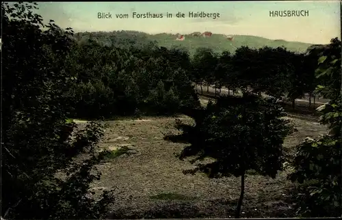 Ak Hamburg Harburg Hausbruch, Blick vom Forsthaus in die Haidberge