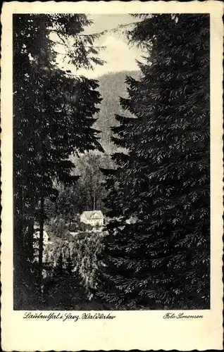 Ak Lautenthal Langelsheim im Oberharz, Waldkater, Blick durch Bäume