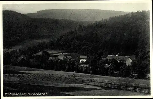 Ak Riefensbeek Osterode am Harz, Gesamtansicht