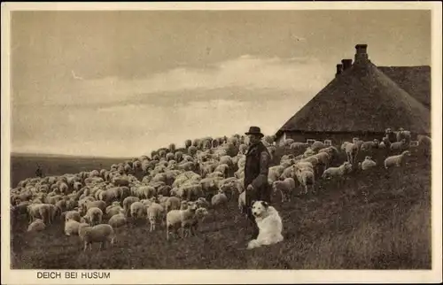 Ak Husum in Nordfriesland, Schäfer mit seinen Schafen und Hütehund, Reetdachhaus