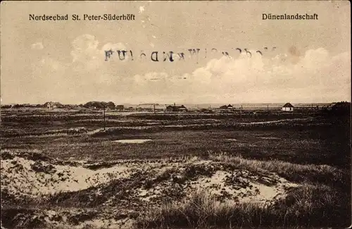 Ak Süderhöft Sankt Peter Ording, Dünenlandschaft