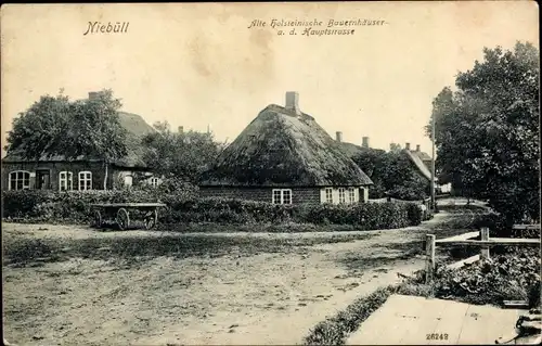 Ak Niebüll in Nordfriesland, Bauernhäuser a. d. Hauptstraße