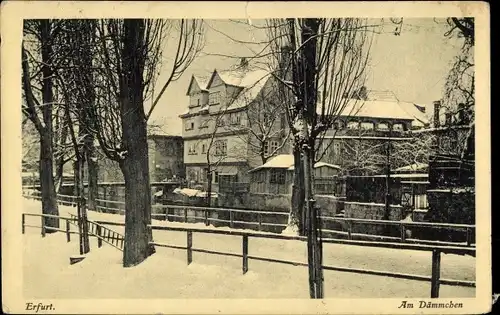 Ak Erfurt in Thüringen, Am Dämmchen, Winter