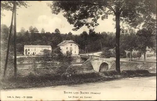 Ak Bains les Bains Vosges, Le Pont du Coney