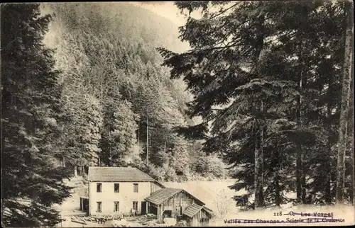 Ak Vosges, Vallee des Chavons