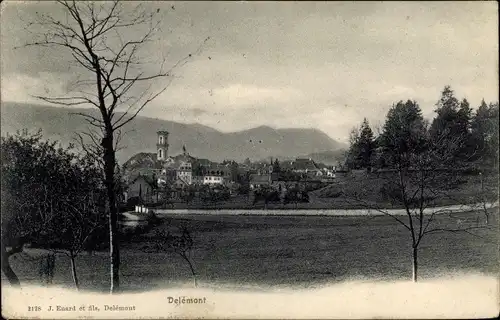 Ak Delsberg Delémont Kanton Jura, Panorama