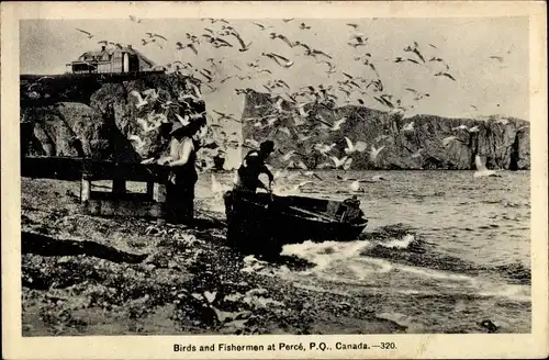 Ak Percé Québec Kanada, Birds and Fisherman, Fischerboot am Strand, Seevögel