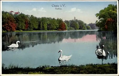 Ak Greiz in Thüringen, Parksee, Schwäne