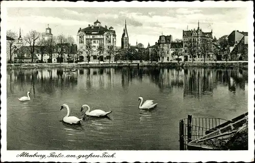 Ak Altenburg in Thüringen, Partie am großen Teich, Schwäne