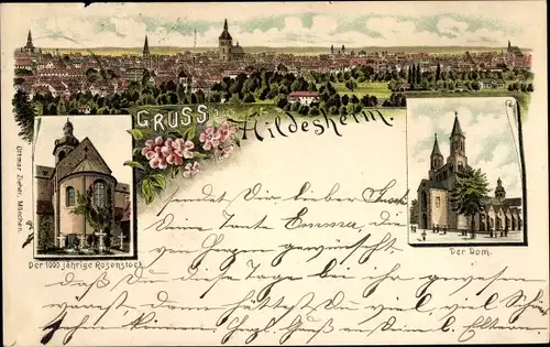 Litho Hildesheim in Niedersachsen, der 1000 jährige Rosenstock, der Dom, Panorama