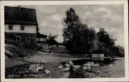 Ak Roßleben an der Unstrut Kyffhäuserkreis, Am Mühlgraben