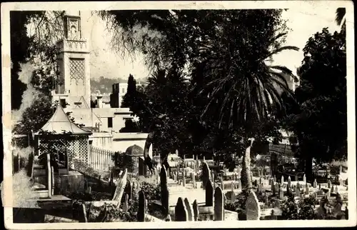 Ak Algier Alger Algerien, Mosquee du Hamma et du cimetiere indigene