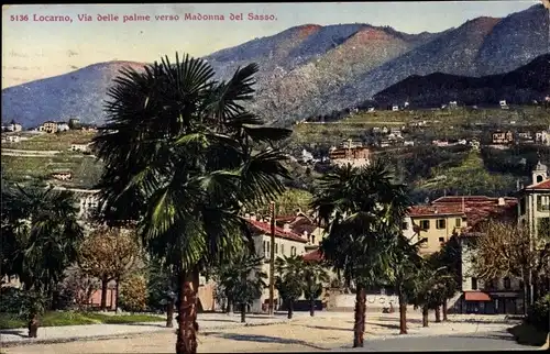 Ak Locarno Kanton Tessin Schweiz, Via belle palme verso Madonna del Sasso, Palmenallee