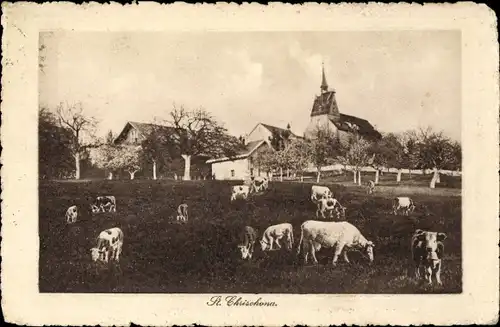 Ak St. Chrischona Halbkanton Basel-Stadt, Kirche, weidende Kühe