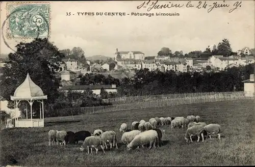 Ak Haute-Vienne, Paturage Limousin, Schafe auf der Weide, Pavillon